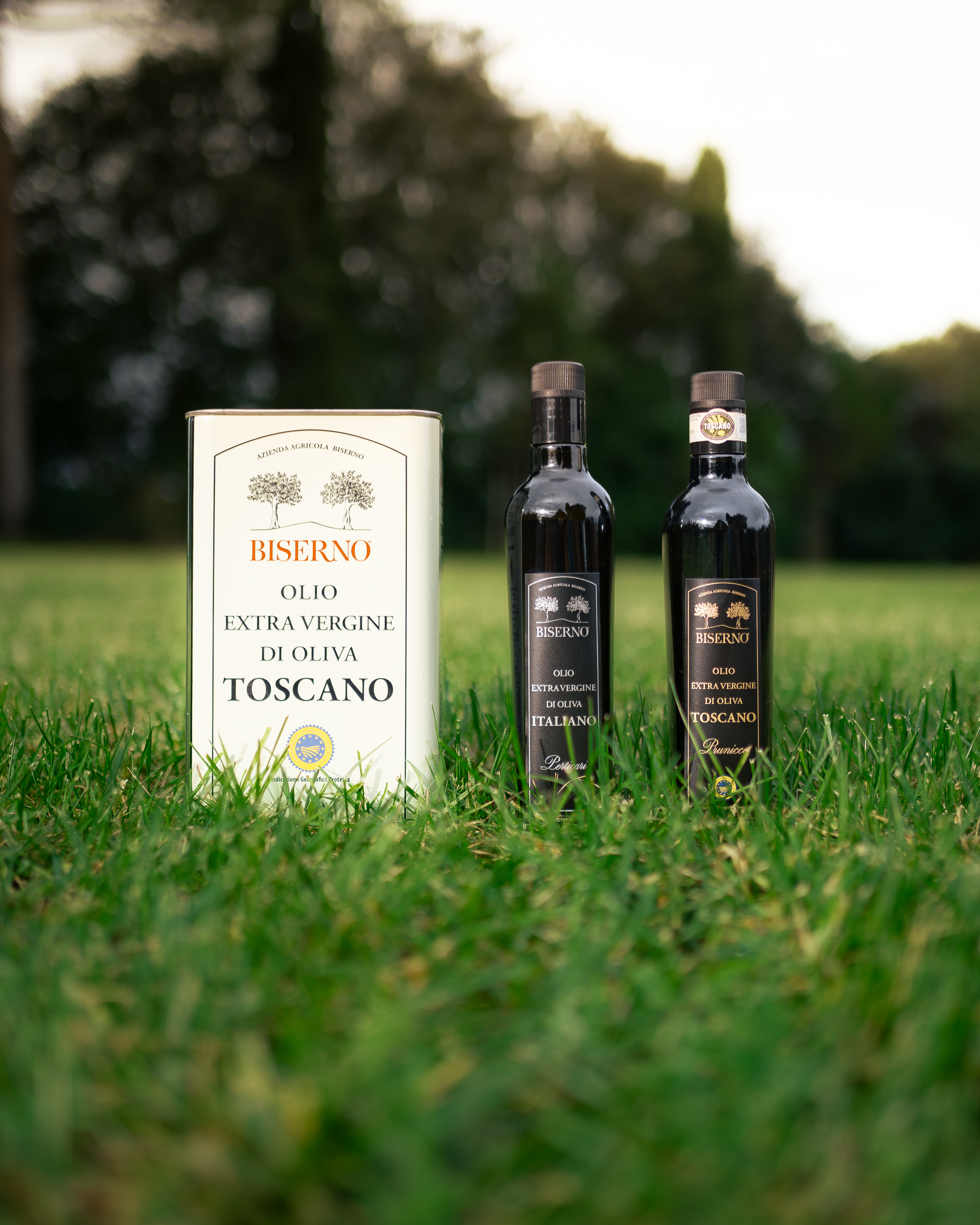 Box 3 Oli Extravergine Biserno – Latta 3L + 2 Bottiglie